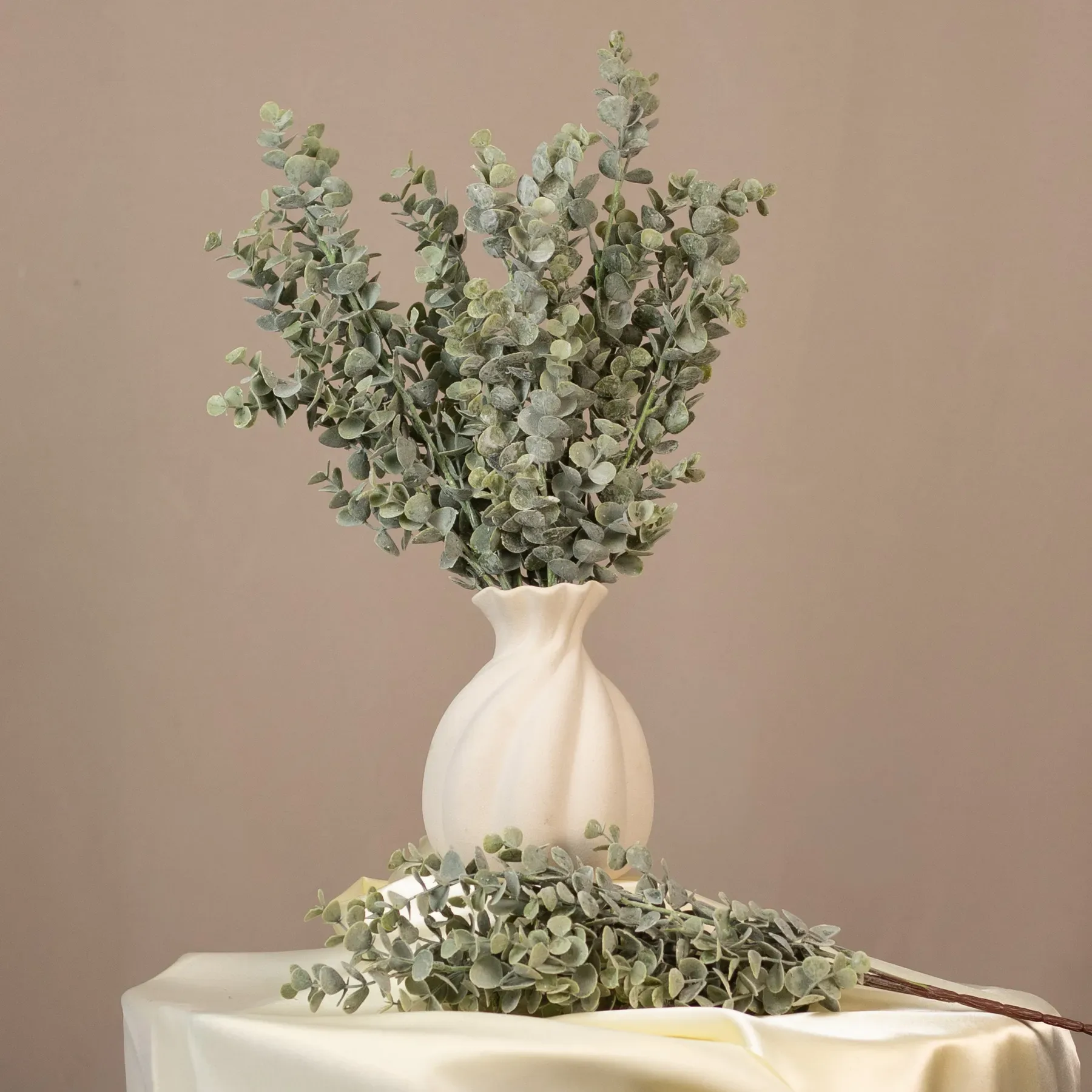 Eukalyptus - vetva s hnedou stonkou